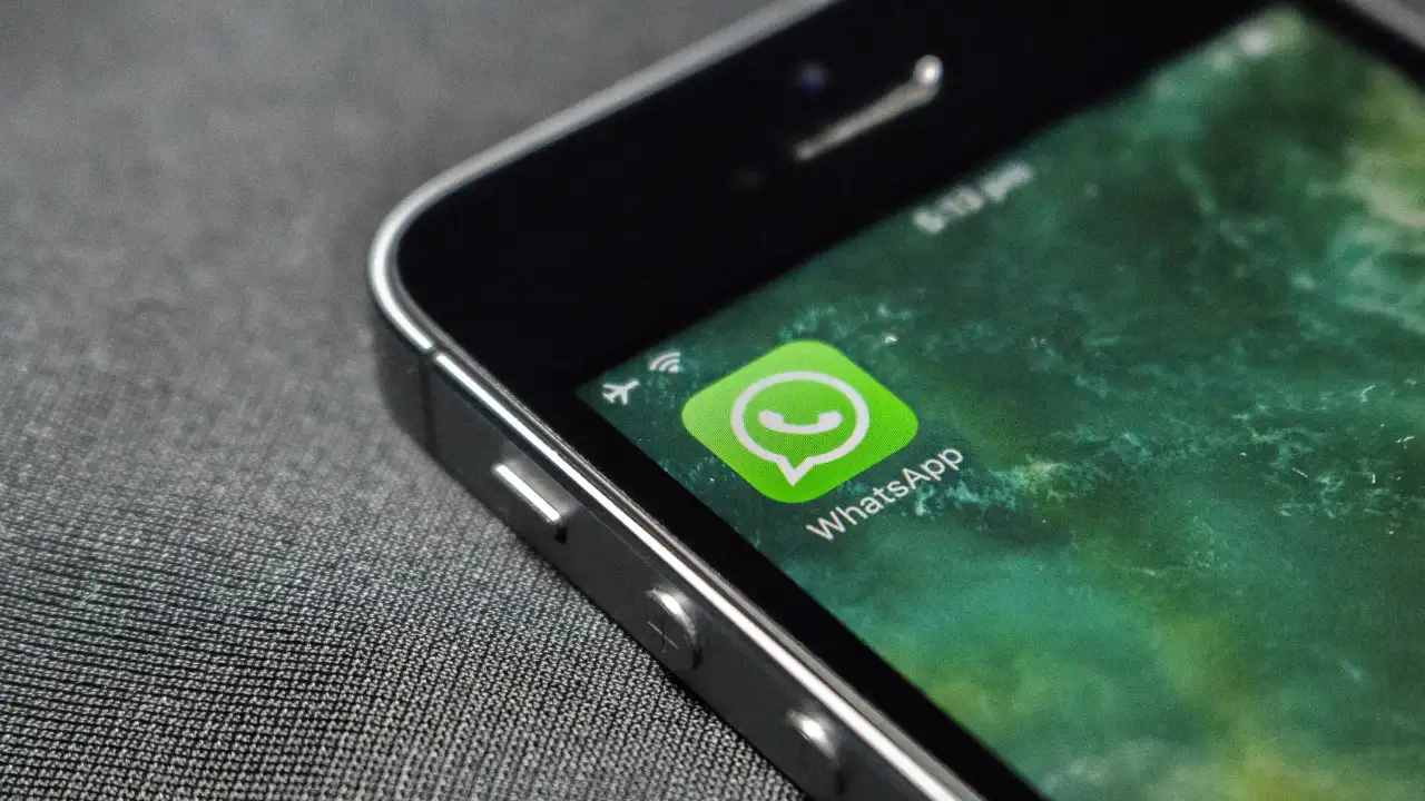 El software de gestión de MN program estará interconectado con WhatsApp Business